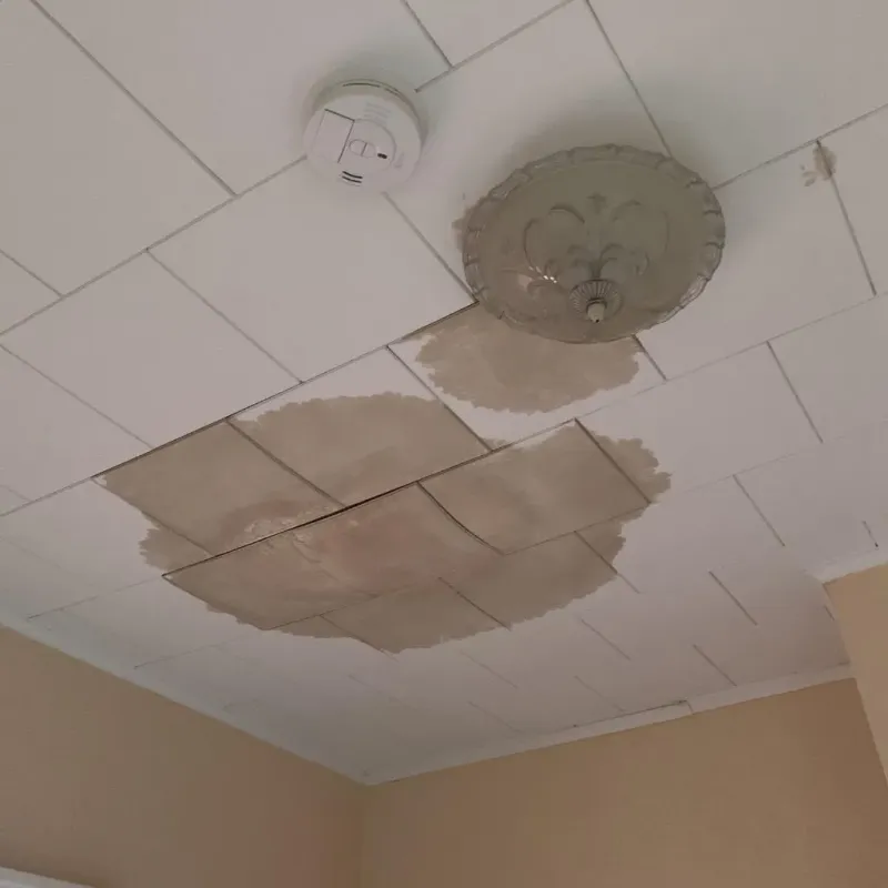 Ceiling Water Damage Repair in Thunderbolt, GA
