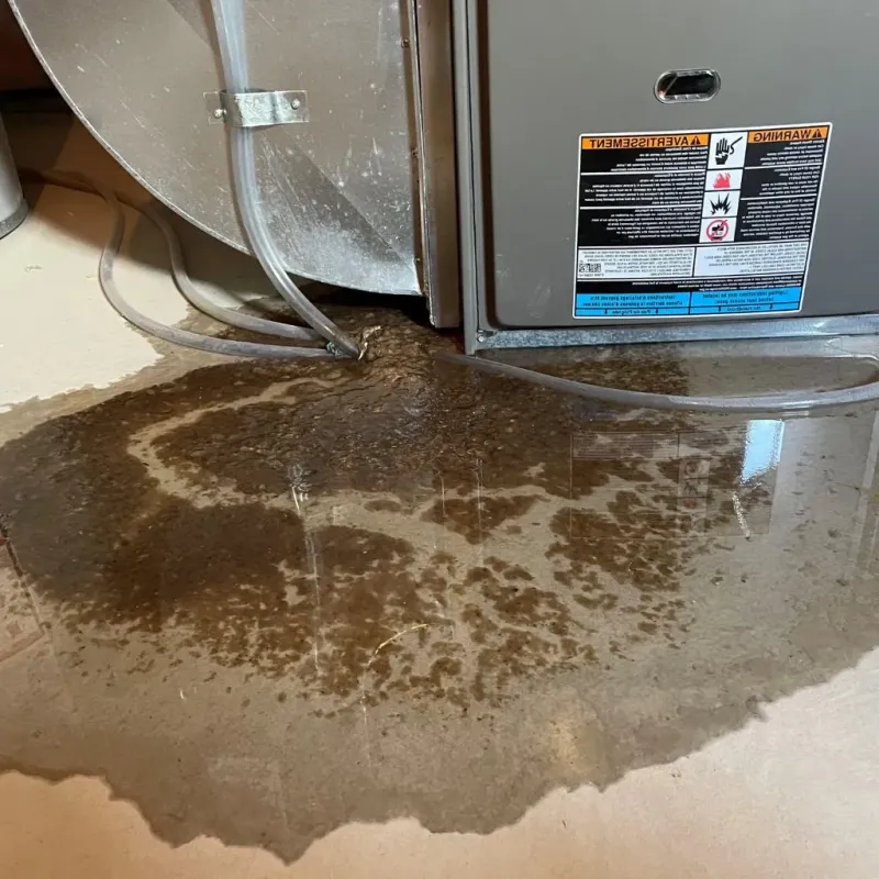 Pipe Burst and Leak Restoration in Thunderbolt, GA