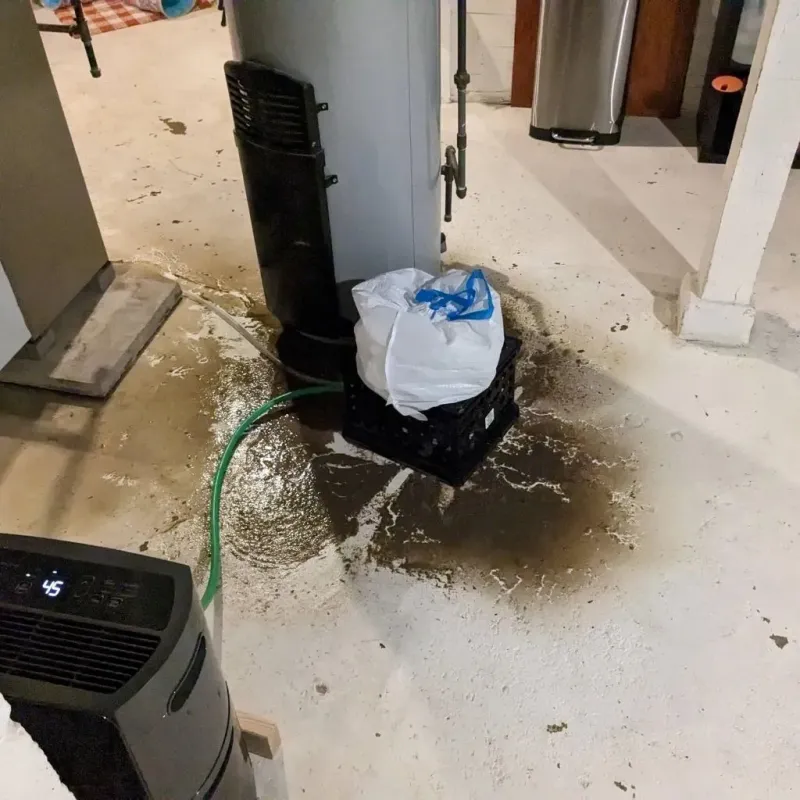 Sewage Backup Cleanup Service in Thunderbolt, GA